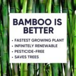 24 Rolls Bamboo Toilet Paper - 3-Ply, Eco-Friendly & Chemical-Free - Image 6