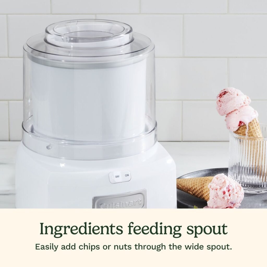 Homemade Ice Cream Maker – Make Frozen Yogurt, Sorbet and Ice Cream in 20 Minutes
